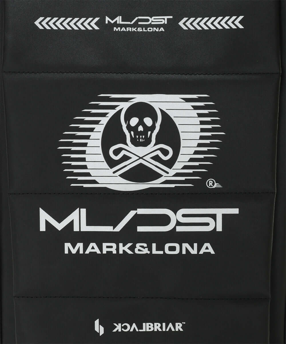 DST System Shoes Bag